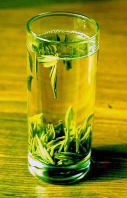 Processus important de la fixation du thé vert