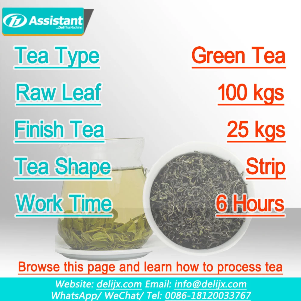 
Solución de producción de té verde (hoja fresca) de 100 kg