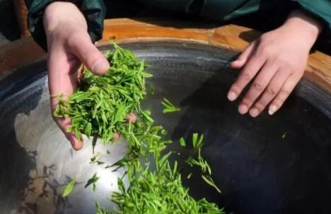 China Hand Made Green Tea manufacturer