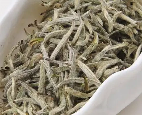 Difference Between Carbon Drying And Electric Drying For White Tea