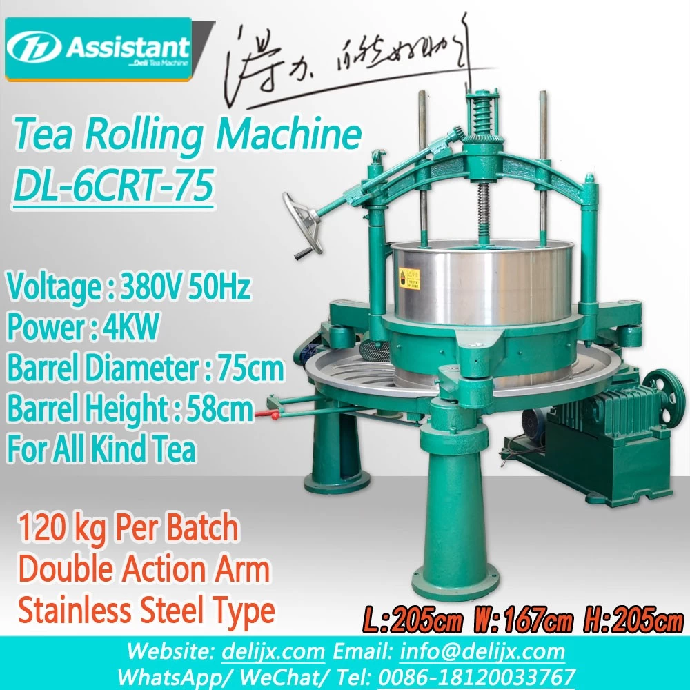 China Large Double Action Tea Leaf Twist Machine DL-6CRT-75 manufacturer