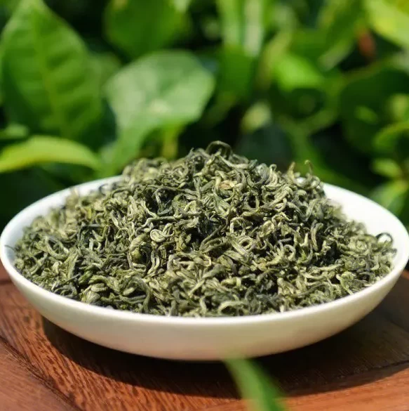 What is the difference between the different drying processing methods in green tea?