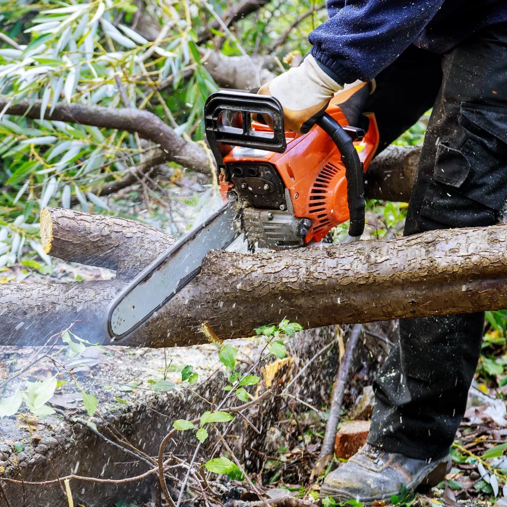 Choosing the Right Tool for Your Garden Pruning Needs