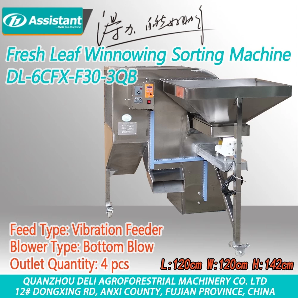 porcelana Máquina de clasificación de limpieza de hoja de té fresca y hojas terminadas DL-6CFX-F30-3QB fabricante