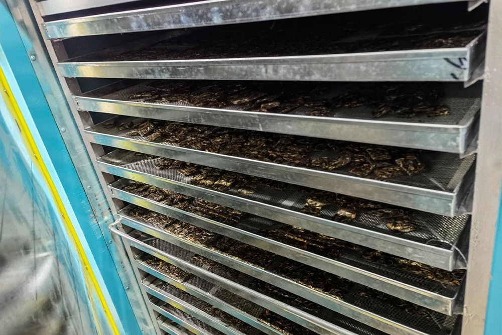 Countertop Square Tray Baking Cabinet