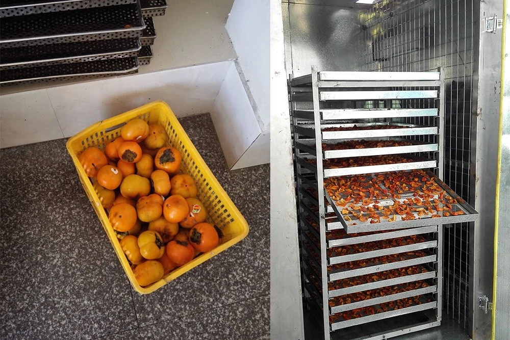 Persimmon Drying Effect