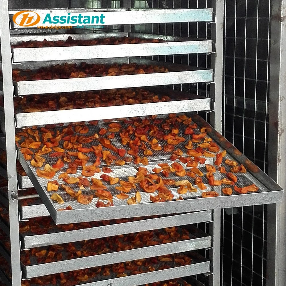 Tea Dehydrator Guide: Drying Tea, Fruits & Vegetables