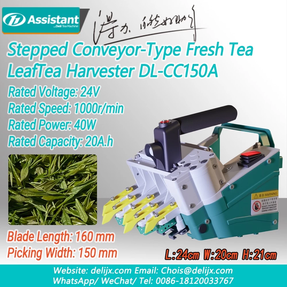2025 ใหม่แบบพกพา Stepped Conveyor-ประเภทไฟฟ้าสดชา Leaf Harvesting DL-CC150A