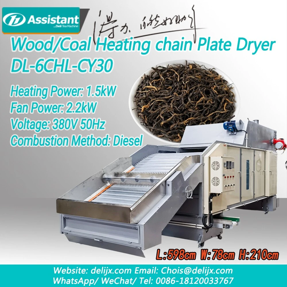 Máquina secadora de té con transportador de placa de cadena continua alimentada por diésel/gas DL-6CHL-CY30