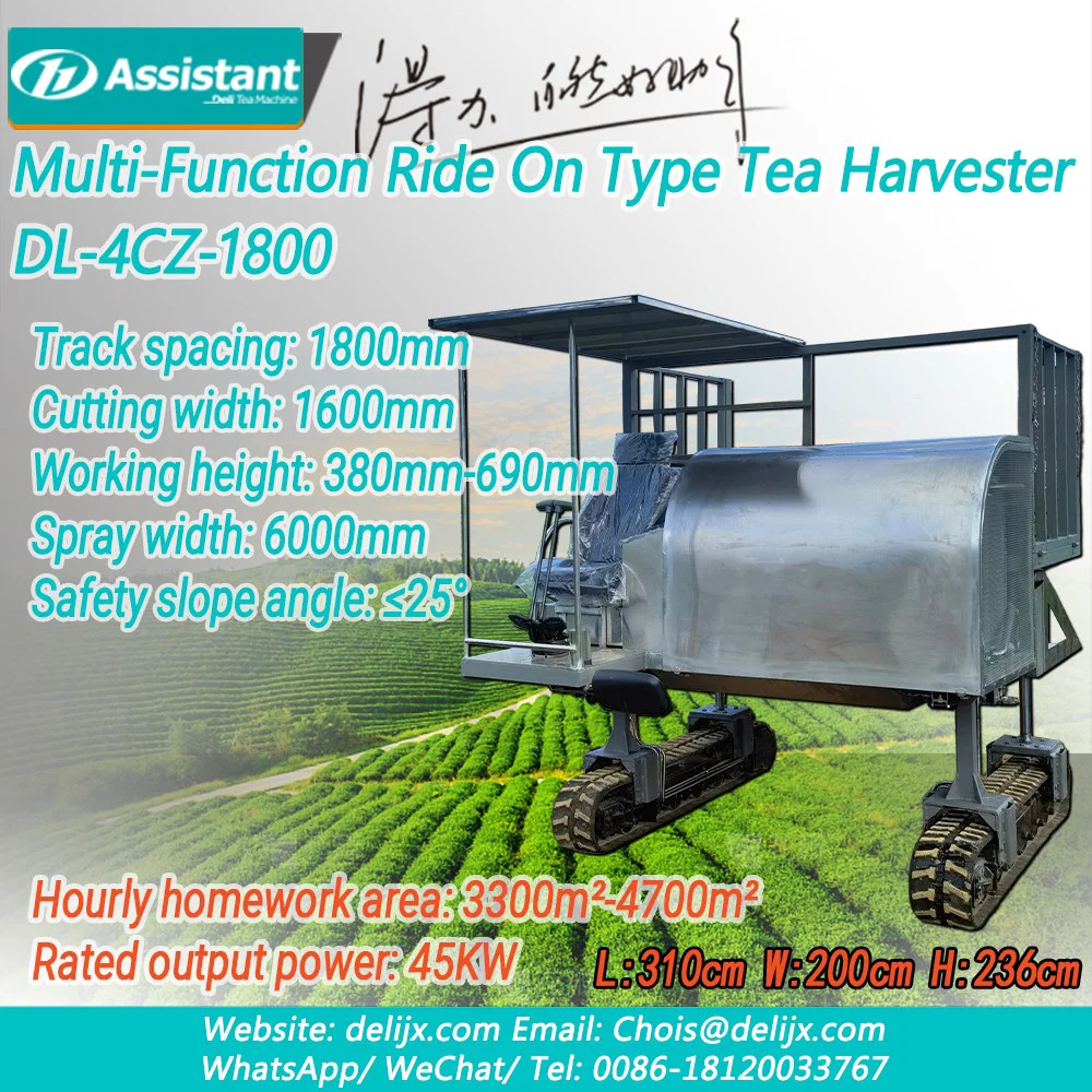 Satu Orang Multi-Fungsi Naik Mesin Pertanian Pemanen Teh Tipe DL-4CZ-1800