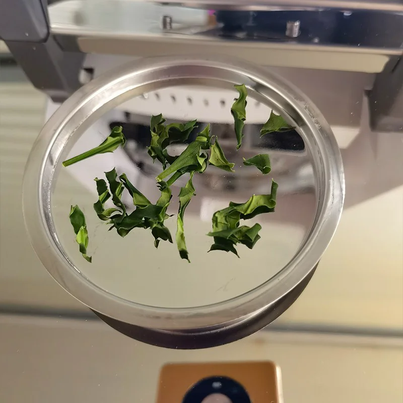 Digital Moisture Tester