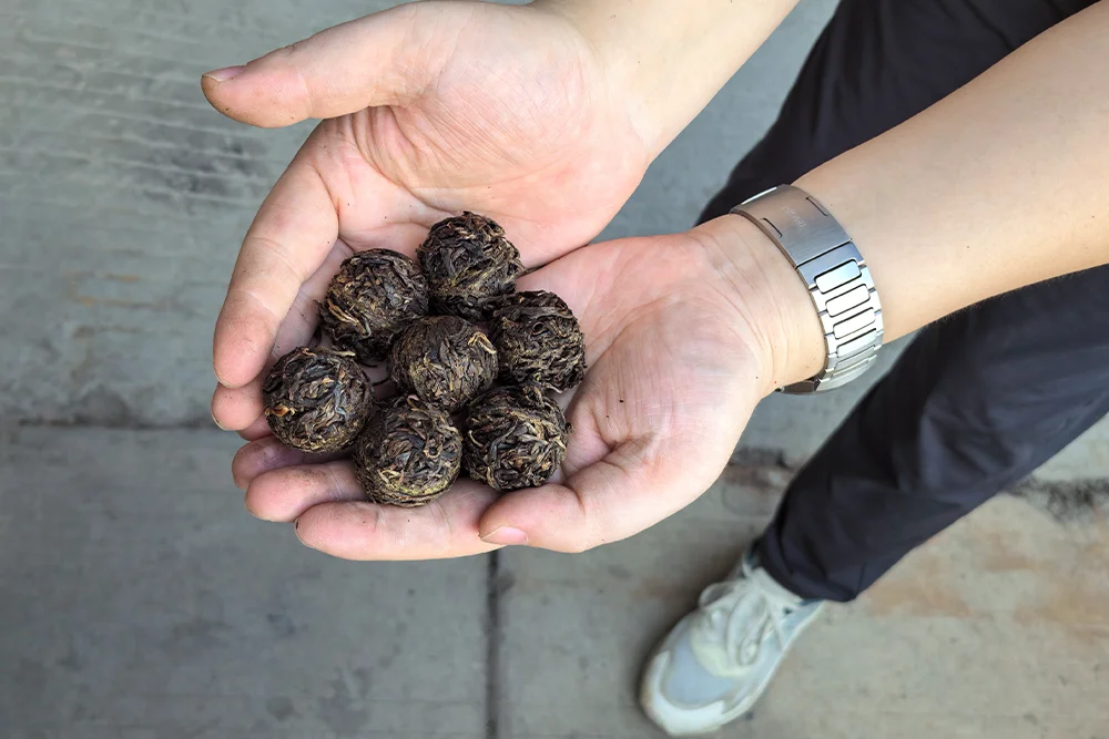 Dragon Pearl Pu'er Tea