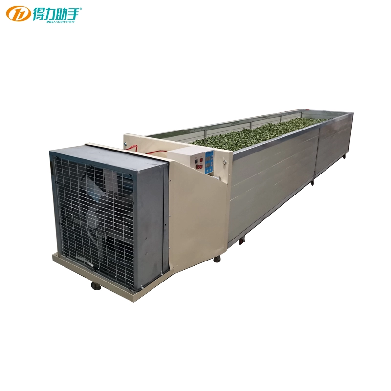 Yeşil Çay Soldurma: Sınıflandırma, Kaliteyi ve Verimliliği Arttıracak İpuçları, Çay Üreticileri için En İyi Makine