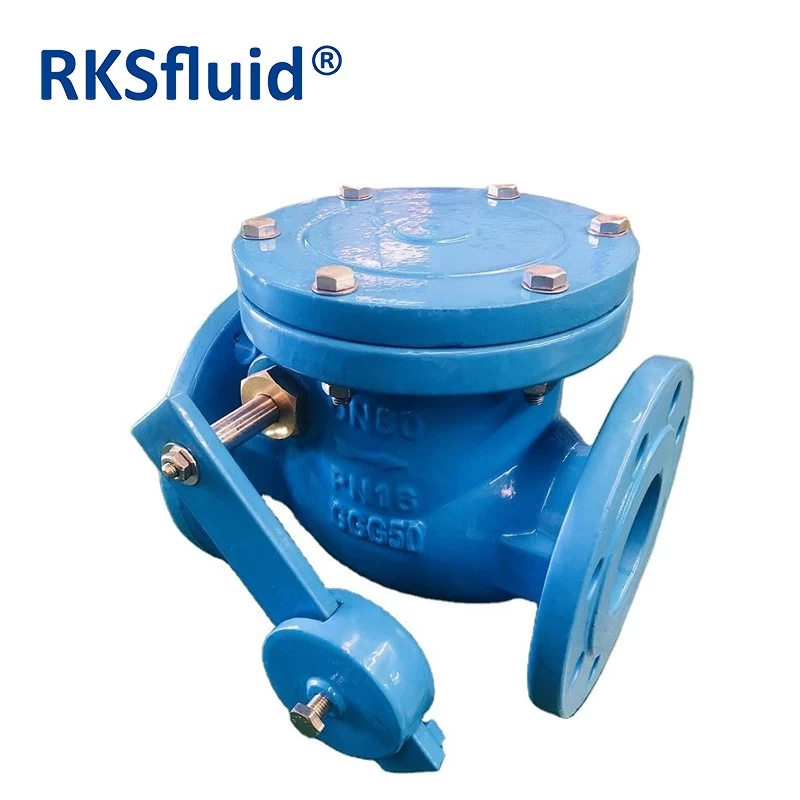 China Chinese Manufacturer Ductile Iron DN150 Flange Swing Check Valve Rotary Check Valve with Counterweight and Hydration manufacturer