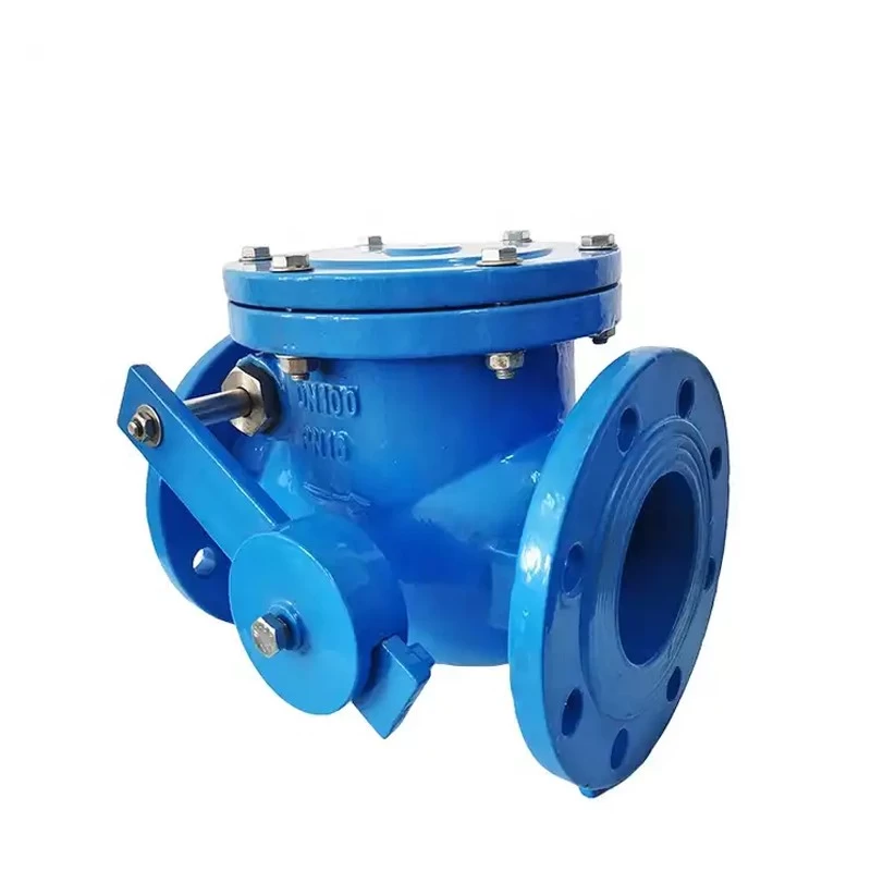 China BS5153 ductile cast iron swing check valve customizable manufacturer