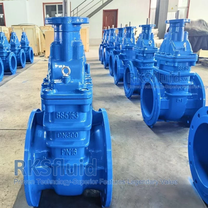 China BS5163 DIN F4 F5 DN125 300mm ductile iron metal seated gate valve with prices for water supply application manufacturer