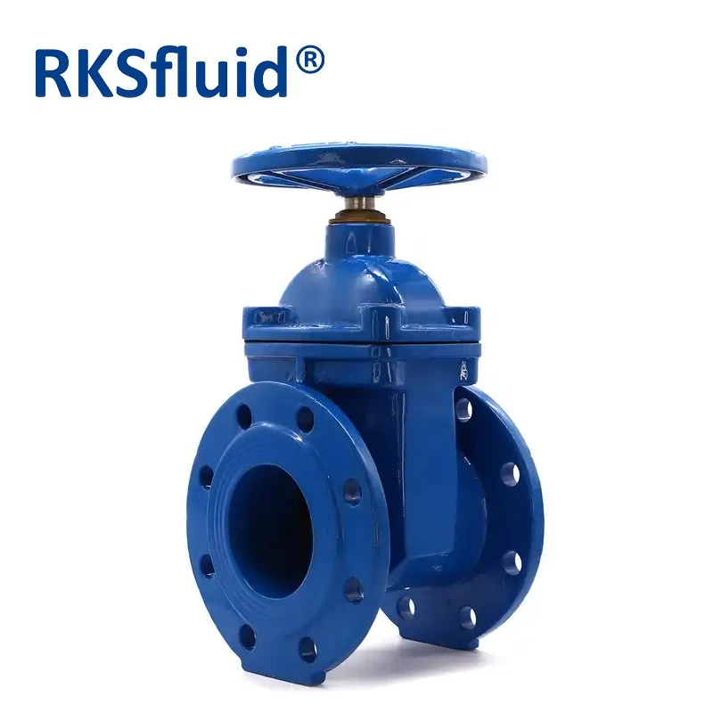 China Rubber Soft Seal Ductile Iron BS5150 Non-rising Stem Flanged End Gate Valve manufacturer
