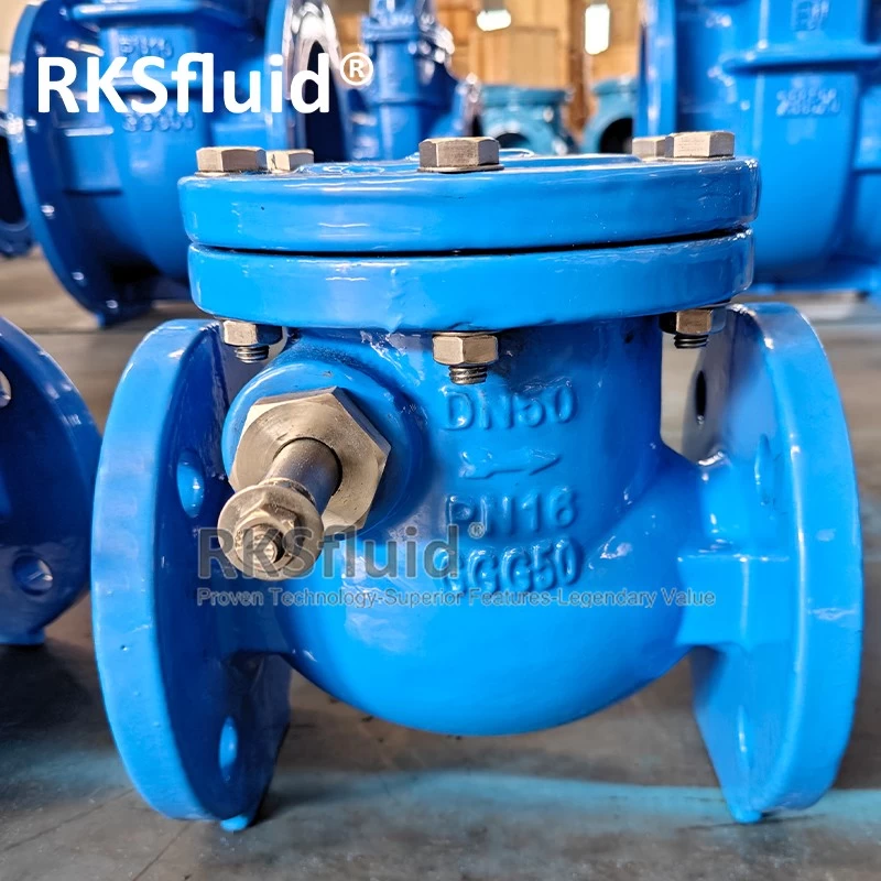 China BS5153 12inch ductile iron Flanged check valves swing type dn50 dn150 dn300 pn16 manufacturer