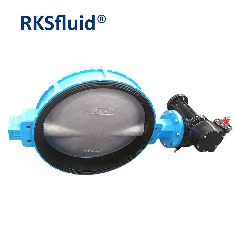 China Factory Direct DN700 PN16 DI CF8M Flange Butterfly Valve Price List manufacturer