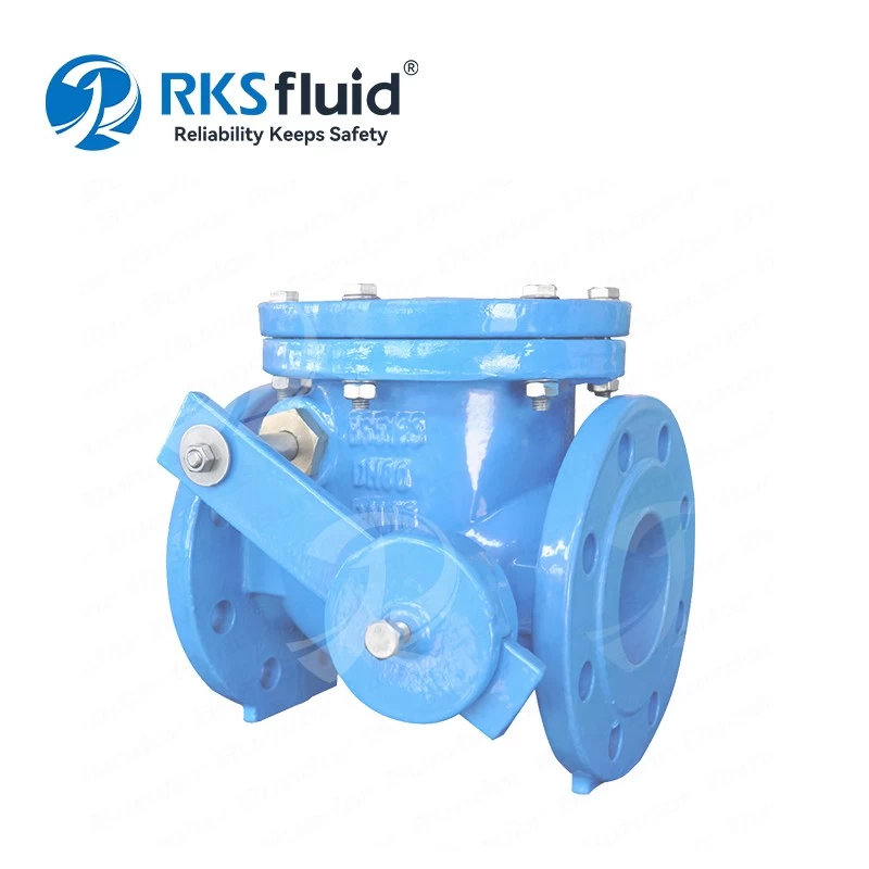 China Factory direct ductile iron flange swing check valve PN16 supplier customizable manufacturer