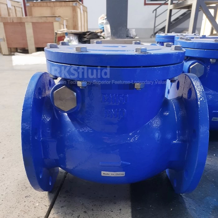 China Short Delivery Time BS5153 Flange DN50 DN65 DN80 Ductile Iron Swing Type Check Valve PN10 PN16 with Counterweight manufacturer