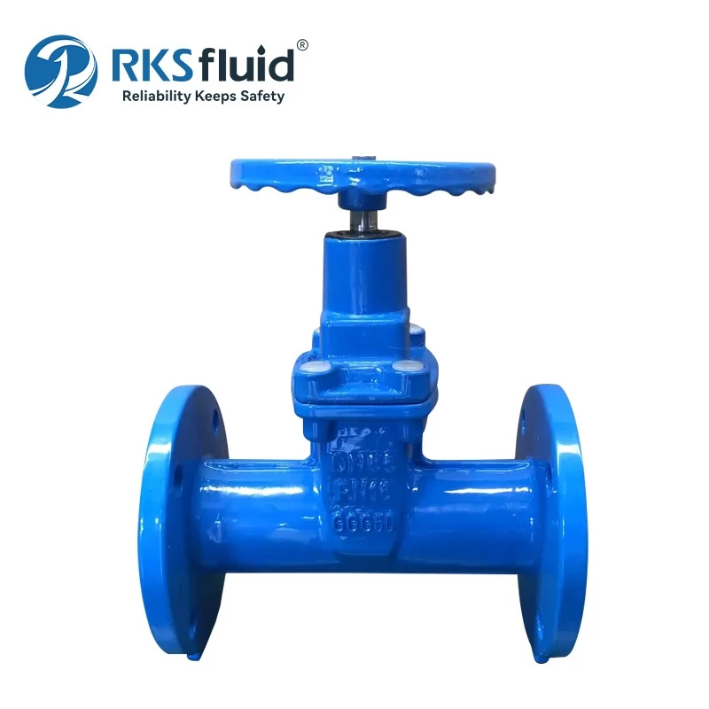 China DIN F4 F5 Water Valve Resilient Seated Cast Iron Gate Valve dn100 dn150 dn200 for Water System manufacturer
