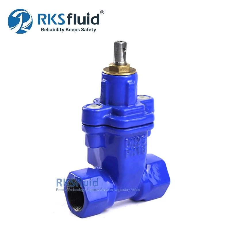 China DN25 Ductile Iron Threaded Gate Valve PN16 for Water manufacturer
