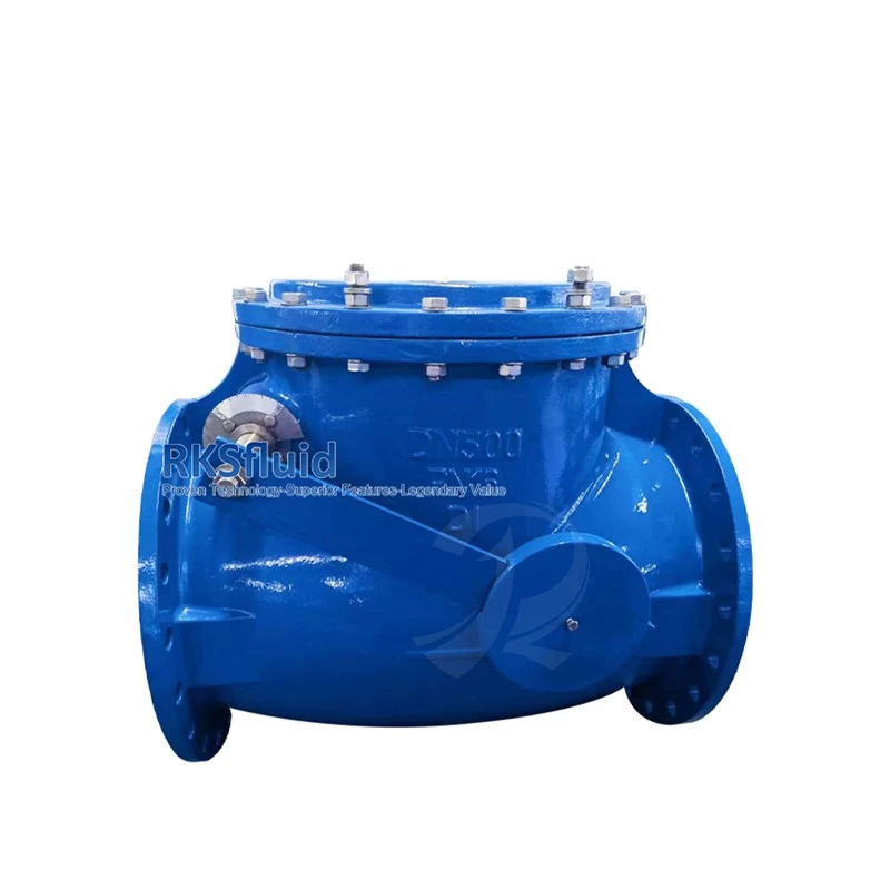 China BS5153 Resilient Seated EPDM NBR Flange Type Wafer Swing Check Valve DN250 PN16 with Counterweight manufacturer