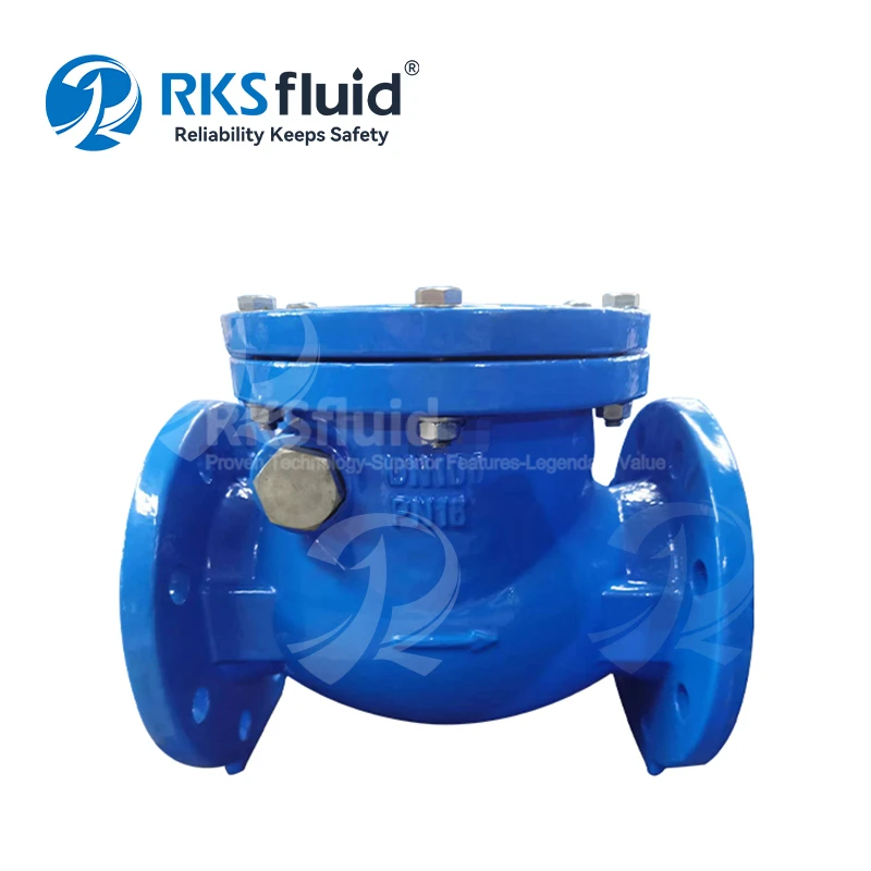 BS5153 Resilient Sitzen EPDM NBR Flansch -Wafer -Schwung -Prüfventil DN250 PN16 mit Gegengewicht