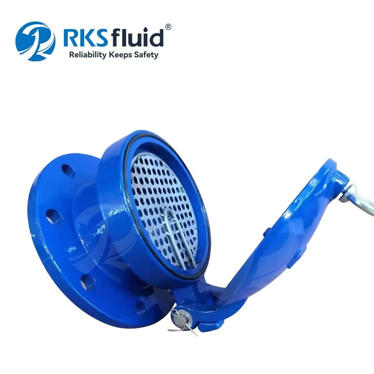 Cina Valvole a cerniera Saracinesche a cerniera Disco a cerniera Valvola a cerniera in ghisa produttore