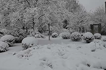 Первый тяжелый снег в Ляонин