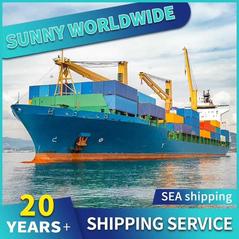 China Sea shipping forwarder from China to Algiers Algeria door to door delivery service customs clearance manufacturer