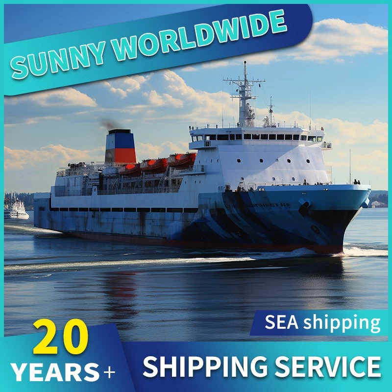 China swwls shipping by sea ddp from Qingdao Shanghai to USA Miami LA LB  sea  shipping agent manufacturer