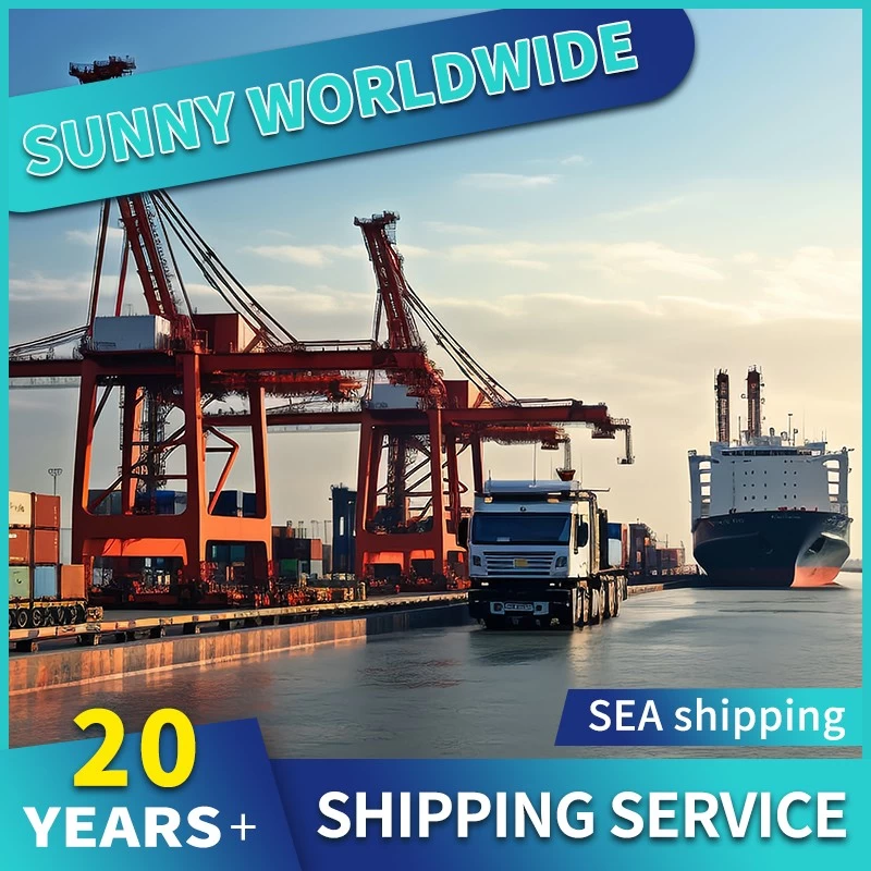 China Sea Cargo consolidation/Shenzhen shipping agent to worldwide manufacturer