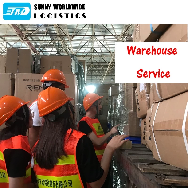 China Sea Freight Forwarder DDP Service Freight Forwarding Shipping from China to Germany manufacturer