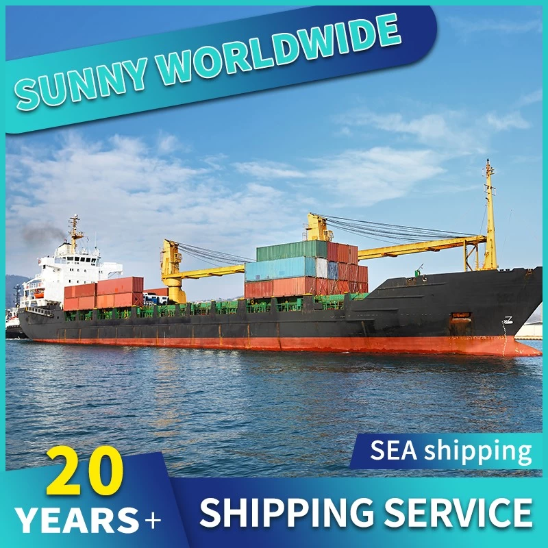 China Swwls Seefracht von China nach Großbritannien LCL Logistics Services Door-to-Door-Unternehmen Hersteller