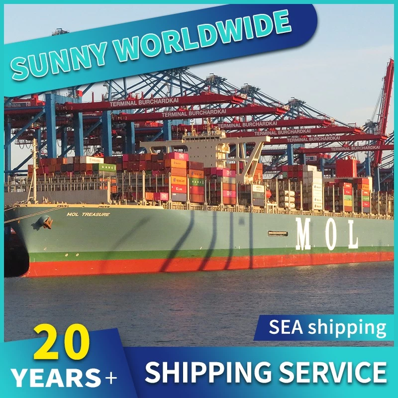 China swwls DDP DDU-Service von China nach USA, professioneller Seefrachtspediteur Hersteller