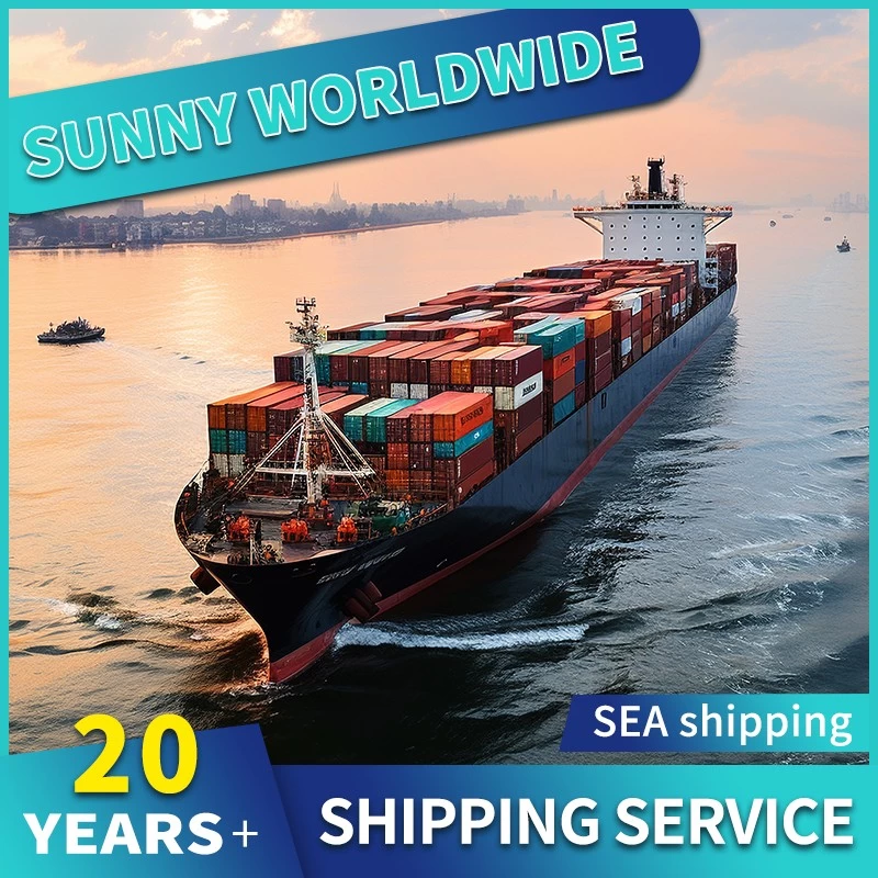 China Shenzhen International Shipping Company Schiff nach Frankreich Seefrachtspediteur Hersteller