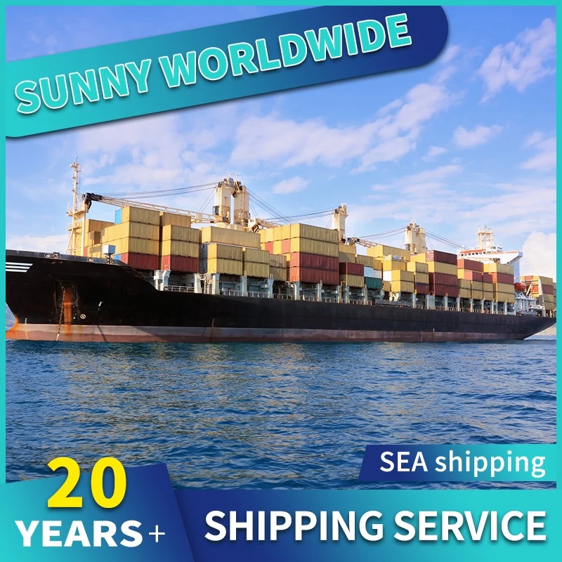 China Seefracht-Reedereien, internationaler Seetransport, Seefracht-Versandkosten Hersteller