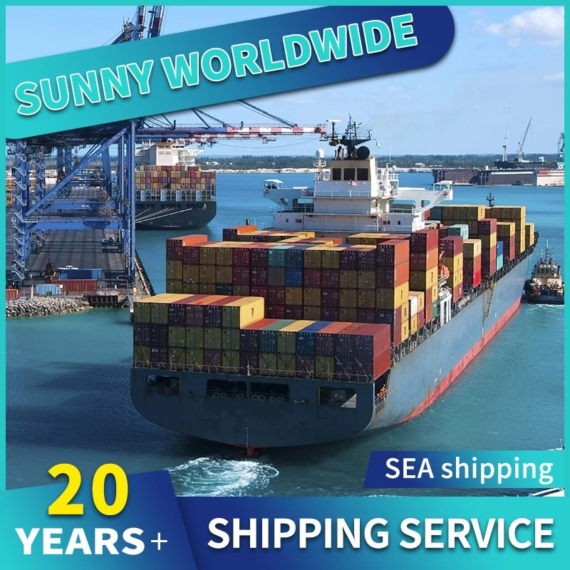 China Sunny, weltweites Logistikunternehmen, erstklassiger Seeschifffahrtsservice von China nach USA FCL/LCL Hersteller