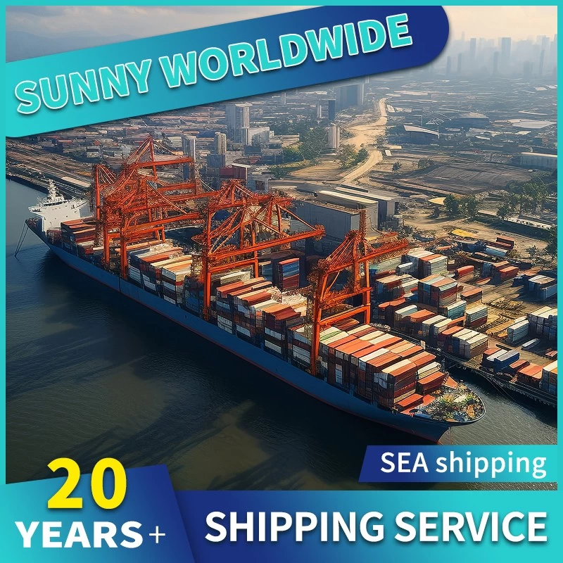 China Agent mit guter Seefracht von China nach Portugal, Seefracht-Spediteur Shenzhen nach Weißrussland, Seabay International Freight Forwarding Ltd Hersteller