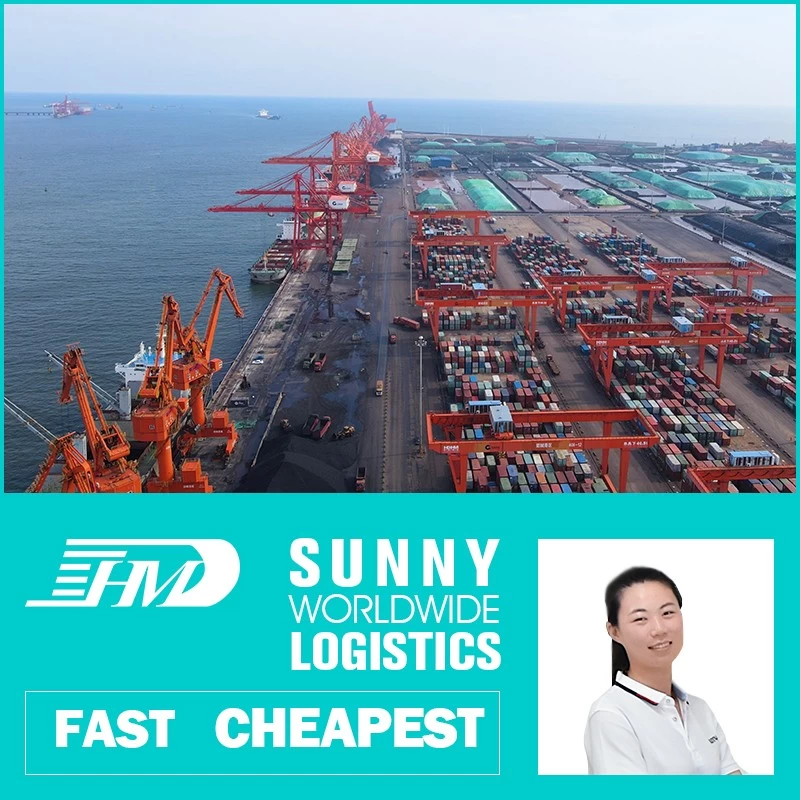 Chine Service d'entreposage professionnel en Chine, agent maritime de Shenzhen fabricant