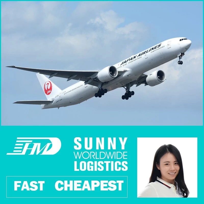 China Swwls Air agent Chinese to Europe USA Germany UK sea shipping freight shipping to Italy manufacturer