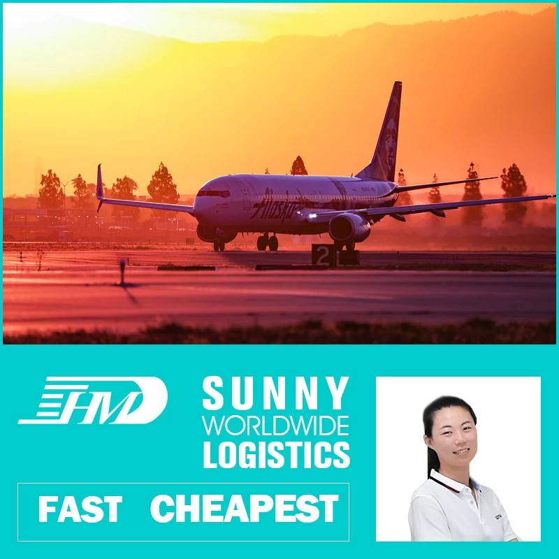 China swwls Cheap Reliable Agents Door To Door Shipping  Air shipping agent from China to UK manufacturer