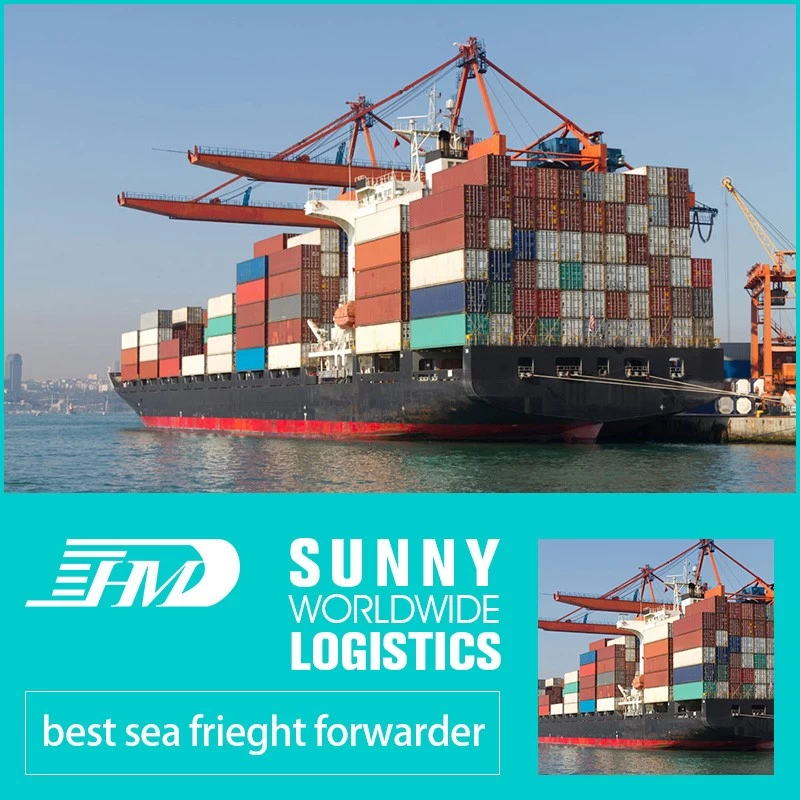 Chine Transitaire de transport maritime de la Chine vers Alger Algérie service de livraison porte à porte dédouanement fabricant