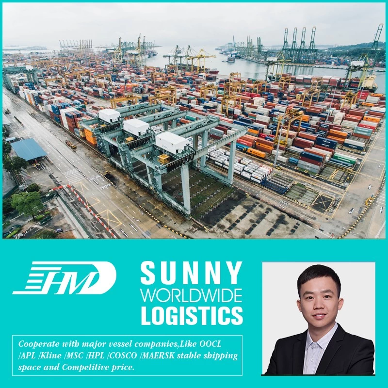 porcelana Transportista marítimo desde China a Santo Domingo Transporte marítimo dominicano Reenvío de carga