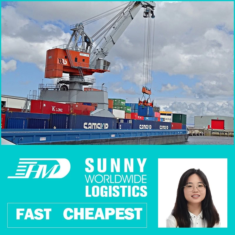 China swwls air forwarding port air sea freight sea freight forwarder shipping ddu ddp service manufacturer