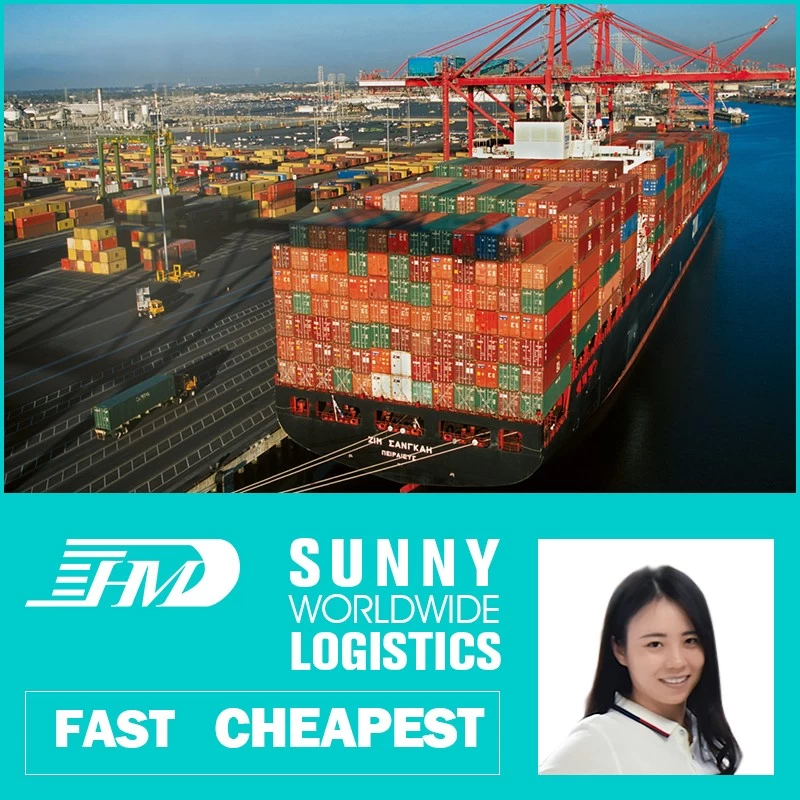 China Swwls Ocean freight forwarder 20GP 40GP door to door China to Singapore DDU container shipping logistics services manufacturer