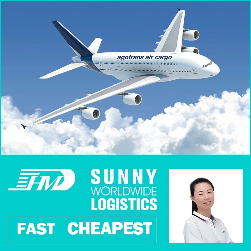 China Swwls Freight Forwarder From China To Germany Door To Door Air Shipping Ddp Ddu Warehouse In Shenzhen Freight Forwarder