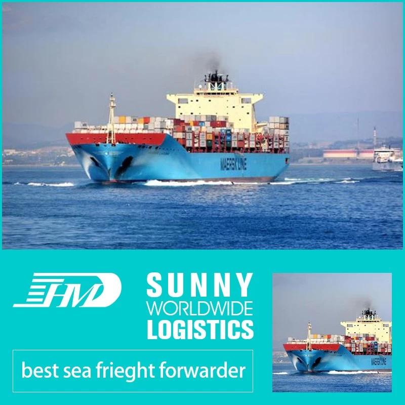 Chine Stockage en entrepôt de fourniture de fret maritime porte à porte, fret maritime de Chine, fret maritime vers l'Australie, du fret maritime de Chine à la Turquie Bahreïn Koweït fabricant